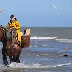 Mezennestje * Oostduinkerke
